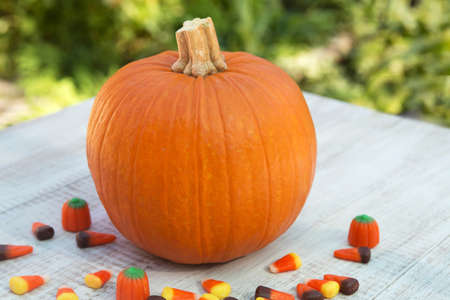 Fall pumpkin with Halloween candy corn treatの写真素材