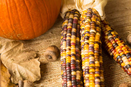 Pumpkin, Indian corn, acorns and leaves fall sceneの写真素材