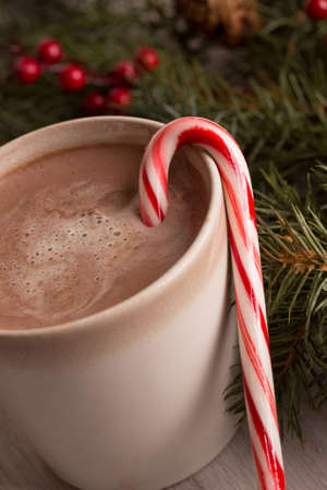hot chocolate, candy cane and evergreen boughs with holly berry close up verticalの写真素材