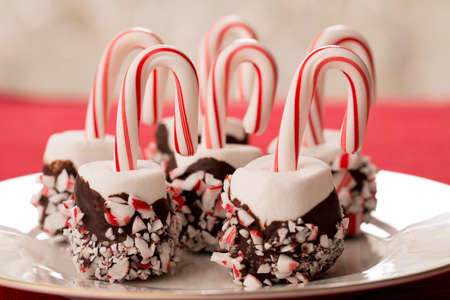 Six marshmallows with chocolate dip and candy canesの写真素材