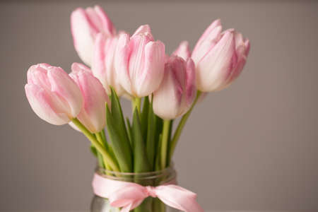 Pink and white tulips in glass jar vase with pink bow
