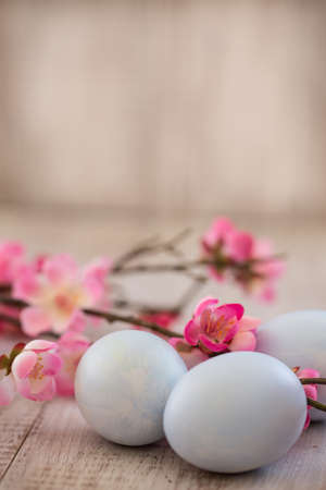 Blue pastel colored Easter eggs and cherry blossom flowers on white wood backgroundの写真素材