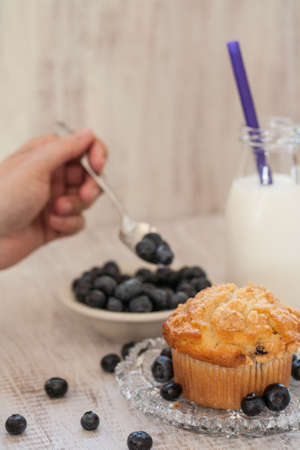 Blueberry muffin breakfast with hand spooning blueberries and with glass jug of milkの写真素材