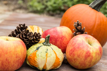 Fall season concept with apples and gourds and pumpkinの写真素材