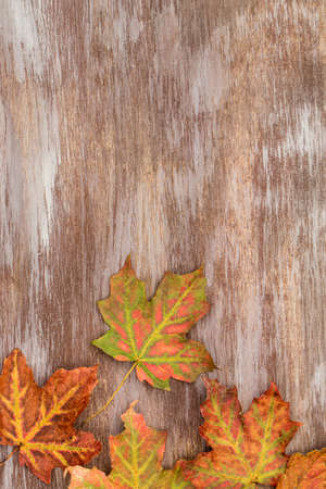 Colorful Autumn leaves on wood background vertical