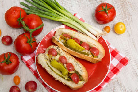 Two Chicago style hot dogs with vegetables grilled in summerの写真素材