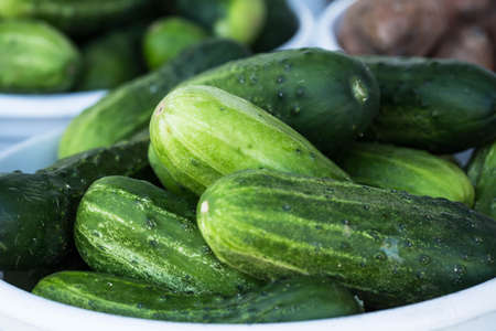 Basket of green cucumbers farm to table vegetables at farmers market in Asheville North Carolina