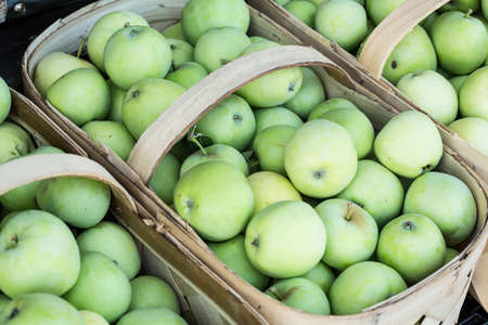 askets of green apples at the farmers market in Asheville North Carolinaの写真素材