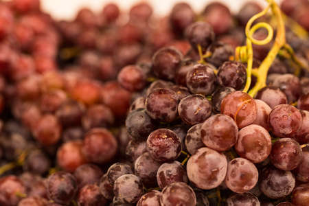 Bin of grapes for sale at farmers market in Asheville North Carolina