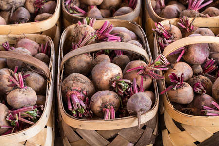 Turnips for sale in baskets at farmers market in Asheville North Carolinaの写真素材