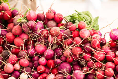 Bunch of radishes piled up on a table at the farmers market in Knoxville Tennessee