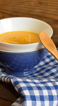 Pumpkin Creamの写真素材