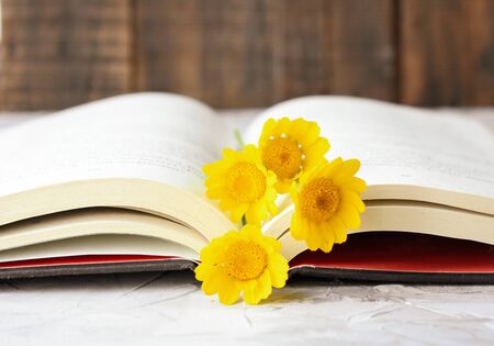 Book and flowers on wooden