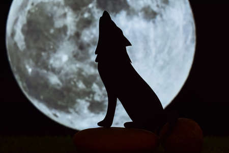Wolf illustration at nightの写真素材
