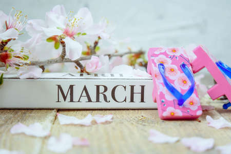 March Month on Woodenの写真素材