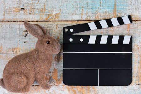 Lovely Cute Rabbit On Wooden Table with Clapperboardの写真素材
