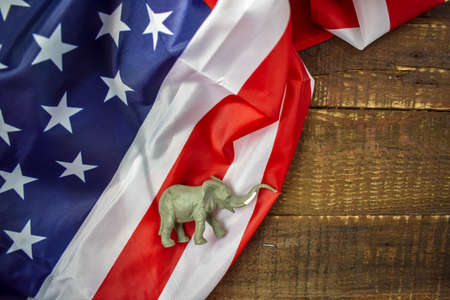 Republican Elephant with American Flagの写真素材