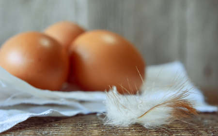 Fresh Eggs on Wooden Table