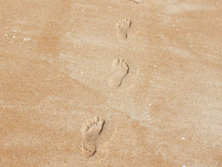 Footprints in the Sandの写真素材