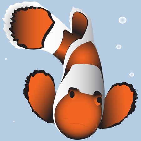 Clown Fishのイラスト素材