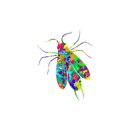 insect illustration digital wall art Printのイラスト素材