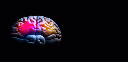 Human brain with red and blue light inside on black background. 3D renderingの素材