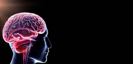 Human Brain Anatomy For Medical Concept 3D Illustration Design.の素材