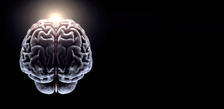 Human brain on a black background. 3D illustration. Copy space.の素材