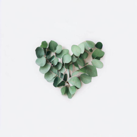 Eucalyptus leaves in shape of heart on white backgroundの素材