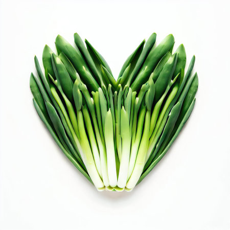 Heart made of fresh green leek on white background, top viewの素材
