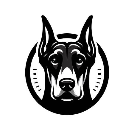 Doberman dog head in circle. Vector illustration on white background.のイラスト素材