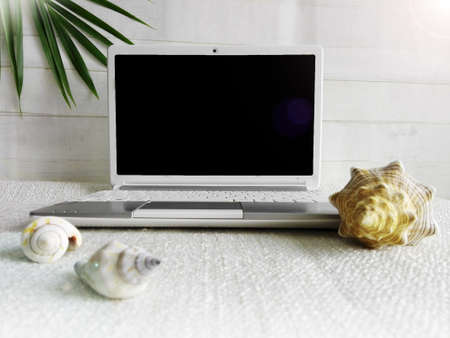 Laptop on holiday with shells and palm treeの写真素材