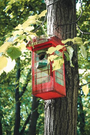 Birdhouse in the form of a red telephone box. Hanging on a tree in a park areaの写真素材