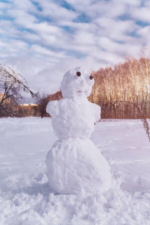 Funny snowman standing in a field against a background of birches.の写真素材