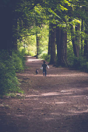 Boy Exploring Forest in Victoria, British Columbia with his dogの写真素材