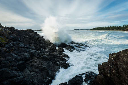 Pettinger Point, Tofino, BCの写真素材