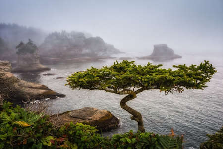 Cape Flattery is the northwesternmost point of the contiguous United States. It is in Washington State on the  Peninsula, where the Strait of Juan de Fuca joins the Pacific Ocean. I Cape Flattery can be reached from a short easy hike, most of which is boaの写真素材