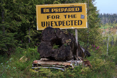Captured along the logging road to Cape Scott Provincial Park in Northern Vancouver Island.の写真素材