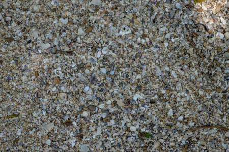 Sand texture