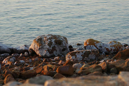 Salt on Rocks at the Dead Sea