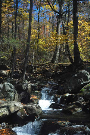 White Oak Canyon, Shenandoah, VAの写真素材