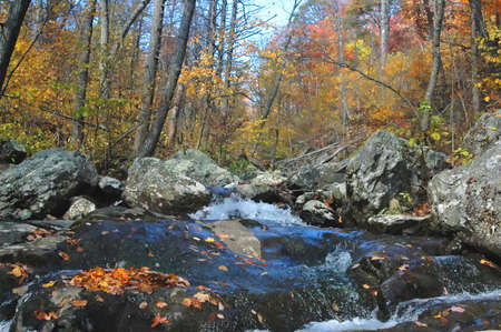White Oak Canyon, Shenandoah, VAの写真素材