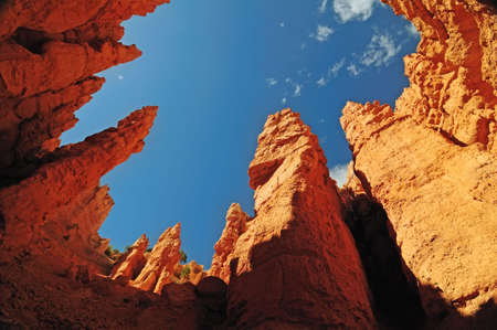 Bryce Canyon, Utahの写真素材