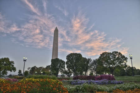 The Washington Monument at Dawn, Washington, DCの写真素材