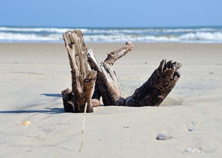 Beachの写真素材