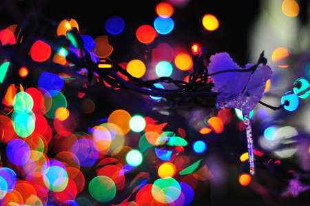 Christmas Lights