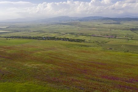 Fields of blooming poppy. Fields and hills are covered with a carpet of wild flowers. Summer,...