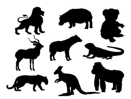 Set of animals silhouettes Gorilla Hippopottamus Heyna Iguana Jaguar Kngaroo Koala Kudu Lionのイラスト素材