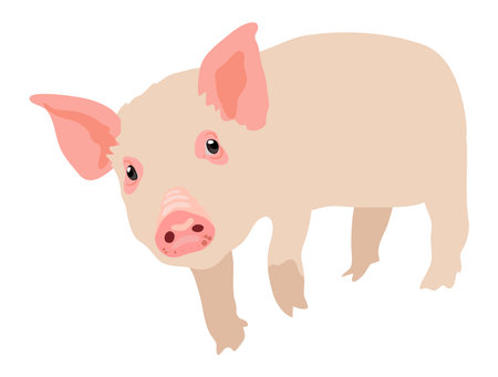 Cute pink piglet character .Vector illustration isolated on white background stock illustrationのイラスト素材