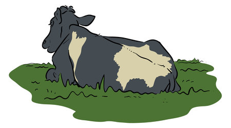 Cow laying on the grass vector illustration isolated on white backgroundのイラスト素材